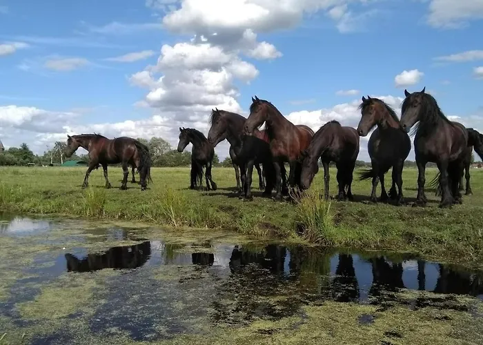 Charmante Monteurwohnung Bei Berlin, Tesla Apartment *